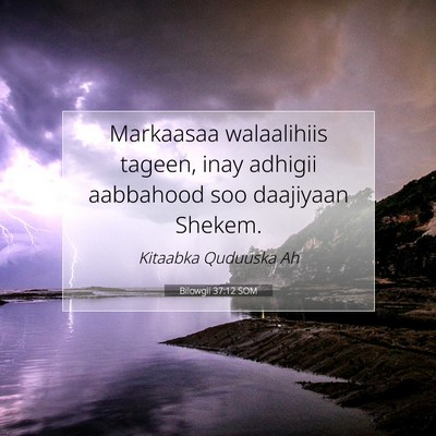 Picture 07 - Bilowgii 37:12 SOM - Markaasaa walaalihiis tageen, inay adhigii - Bible Verse Picture