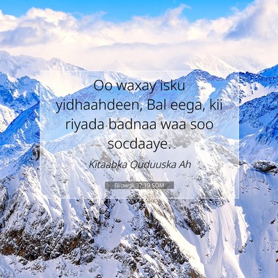 Picture 07 - Bilowgii 37:19 SOM - Oo waxay isku yidhaahdeen, Bal eega, kii riyada - Bible Verse Picture