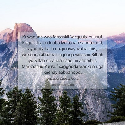 Picture 07 - Bilowgii 37:2 SOM - Kuwanuna waa farcankii Yacquub. Yuusuf, isagoo - Bible Verse Picture