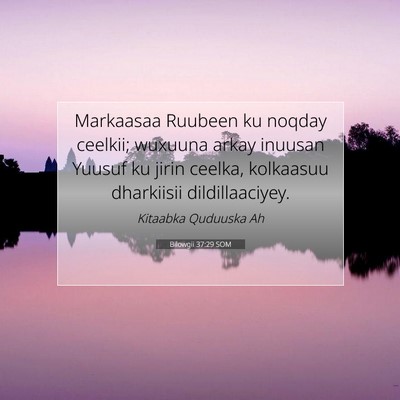 Picture 07 - Bilowgii 37:29 SOM - Markaasaa Ruubeen ku noqday ceelkii; wuxuuna - Bible Verse Picture