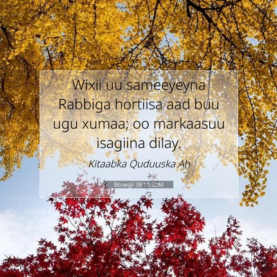 Picture 07 - Bilowgii 38:10 SOM - Wixii uu sameeyeyna Rabbiga hortiisa aad buu ugu - Bible Verse Picture