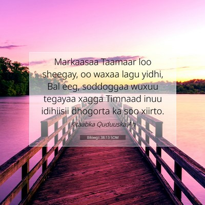 Picture 07 - Bilowgii 38:13 SOM - Markaasaa Taamaar loo sheegay, oo waxaa lagu - Bible Verse Picture