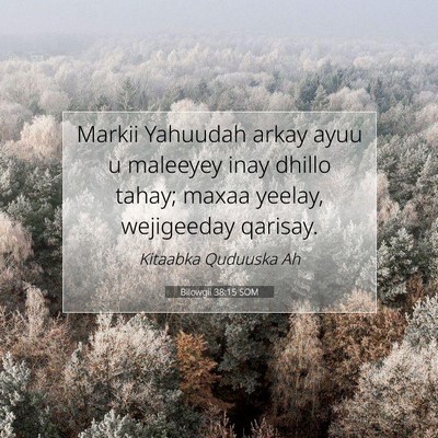 Picture 07 - Bilowgii 38:15 SOM - Markii Yahuudah arkay ayuu u maleeyey inay dhillo - Bible Verse Picture