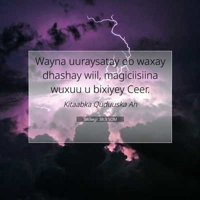 Picture 07 - Bilowgii 38:3 SOM - Wayna uuraysatay oo waxay dhashay wiil, - Bible Verse Picture