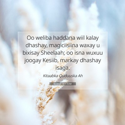 Picture 07 - Bilowgii 38:5 SOM - Oo weliba haddana wiil kalay dhashay, - Bible Verse Picture