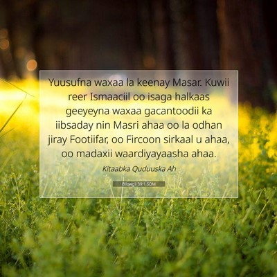 Picture 07 - Bilowgii 39:1 SOM - Yuusufna waxaa la keenay Masar. Kuwii reer - Bible Verse Picture