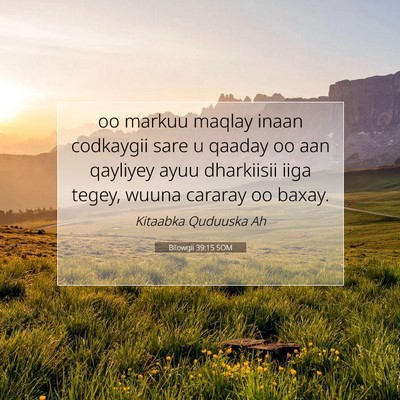 Picture 07 - Bilowgii 39:15 SOM - oo markuu maqlay inaan codkaygii sare u qaaday oo - Bible Verse Picture