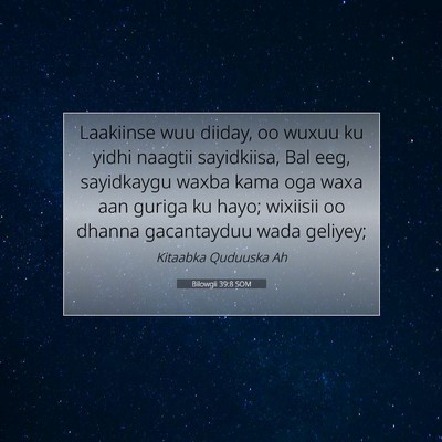 Picture 07 - Bilowgii 39:8 SOM - Laakiinse wuu diiday, oo wuxuu ku yidhi naagtii - Bible Verse Picture