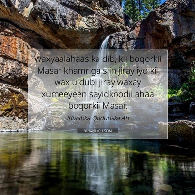 Picture 07 - Bilowgii 40:1 SOM - Waxyaalahaas ka dib, kii boqorkii Masar khamriga - Bible Verse Picture