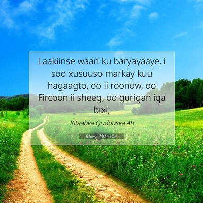 Picture 07 - Bilowgii 40:14 SOM - Laakiinse waan ku baryayaaye, i soo xusuuso - Bible Verse Picture