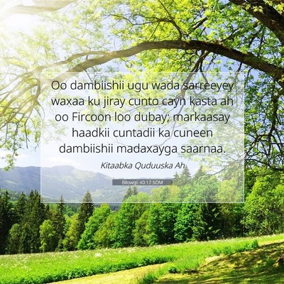 Picture 07 - Bilowgii 40:17 SOM - Oo dambiishii ugu wada sarreeyey waxaa ku jiray - Bible Verse Picture
