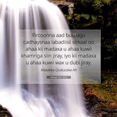 Picture 07 - Bilowgii 40:2 SOM - Fircoonna aad buu ugu cadhaysnaa labadiisii - Bible Verse Picture