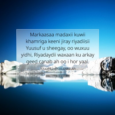 Picture 07 - Bilowgii 40:9 SOM - Markaasaa madaxii kuwii khamriga keeni jiray - Bible Verse Picture