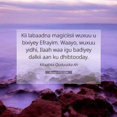 Picture 07 - Bilowgii 41:52 SOM - Kii labaadna magiciisii wuxuu u bixiyey Efrayim. - Bible Verse Picture