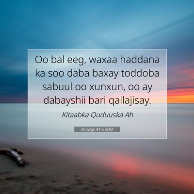 Picture 07 - Bilowgii 41:6 SOM - Oo bal eeg, waxaa haddana ka soo daba baxay - Bible Verse Picture