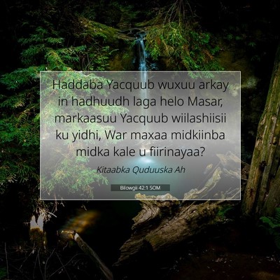 Picture 07 - Bilowgii 42:1 SOM - Haddaba Yacquub wuxuu arkay in hadhuudh laga helo - Bible Verse Picture