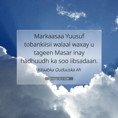 Picture 07 - Bilowgii 42:3 SOM - Markaasaa Yuusuf tobankiisii walaal waxay u - Bible Verse Picture