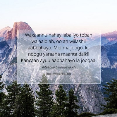 Picture 07 - Bilowgii 42:32 SOM - Waxaannu nahay laba iyo toban walaalo ah, oo ah - Bible Verse Picture