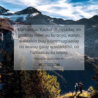 Picture 07 - Bilowgii 43:30 SOM - Markaasuu Yuusuf dhaqsaday, oo goobtay meel uu ku - Bible Verse Picture
