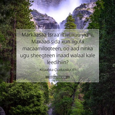 Picture 07 - Bilowgii 43:6 SOM - Markaasaa Israa'iil wuxuu yidhi, Maxaad sida xun - Bible Verse Picture
