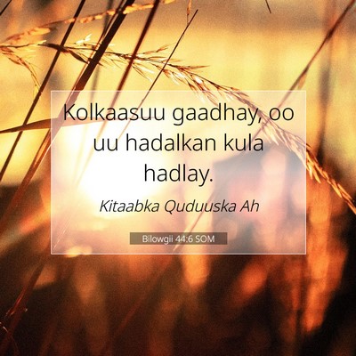 Picture 07 - Bilowgii 44:6 SOM - Kolkaasuu gaadhay, oo uu hadalkan kula - Bible Verse Picture