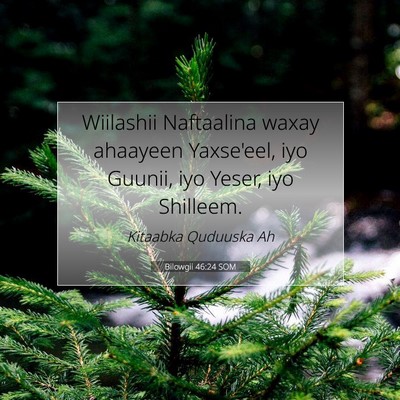 Picture 07 - Bilowgii 46:24 SOM - Wiilashii Naftaalina waxay ahaayeen Yaxse'eel, - Bible Verse Picture
