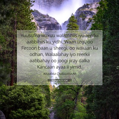 Picture 07 - Bilowgii 46:31 SOM - Yuusufna wuxuu walaalihiis iyo reerkii aabbihiis - Bible Verse Picture