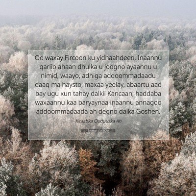 Picture 07 - Bilowgii 47:4 SOM - Oo waxay Fircoon ku yidhaahdeen, Inaannu qariib - Bible Verse Picture