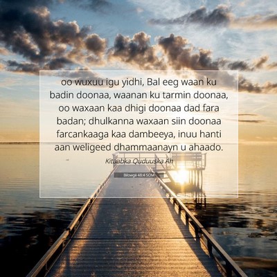 Picture 07 - Bilowgii 48:4 SOM - oo wuxuu igu yidhi, Bal eeg waan ku badin doonaa, - Bible Verse Picture