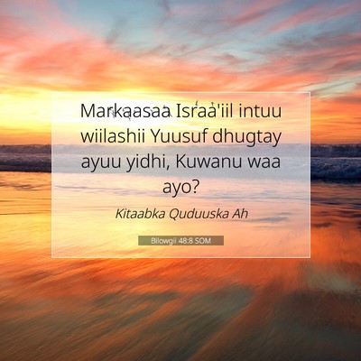 Picture 07 - Bilowgii 48:8 SOM - Markaasaa Israa'iil intuu wiilashii Yuusuf - Bible Verse Picture