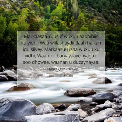 Picture 07 - Bilowgii 48:9 SOM - Markaasaa Yuusuf wuxuu aabbihiis ku yidhi, Waa - Bible Verse Picture