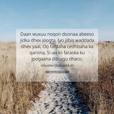 Picture 07 - Bilowgii 49:17 SOM - Daan wuxuu noqon doonaa abeeso jidka dhex joogta, - Bible Verse Picture