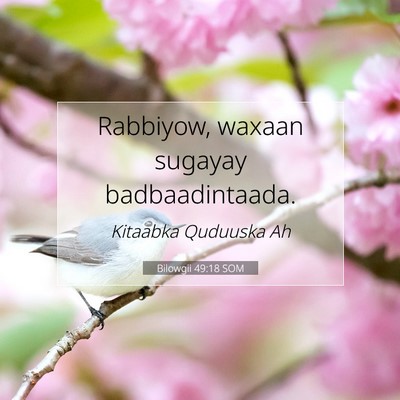 Picture 07 - Bilowgii 49:18 SOM - Rabbiyow, waxaan sugayay - Bible Verse Picture
