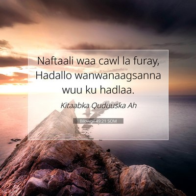 Picture 07 - Bilowgii 49:21 SOM - Naftaali waa cawl la furay, Hadallo - Bible Verse Picture
