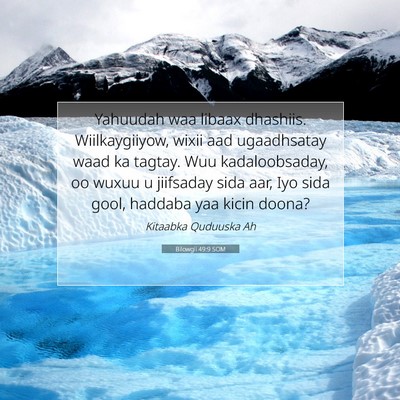 Picture 07 - Bilowgii 49:9 SOM - Yahuudah waa libaax dhashiis. Wiilkaygiiyow, - Bible Verse Picture
