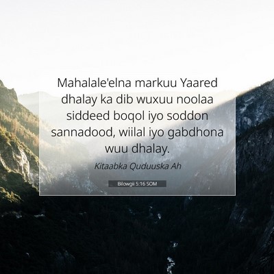 Picture 07 - Bilowgii 5:16 SOM - Mahalale'elna markuu Yaared dhalay ka dib wuxuu - Bible Verse Picture
