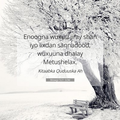 Picture 07 - Bilowgii 5:21 SOM - Enoogna wuxuu jiray shan iyo lixdan sannadood, - Bible Verse Picture