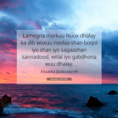 Picture 07 - Bilowgii 5:30 SOM - Lamegna markuu Nuux dhalay ka dib wuxuu noolaa - Bible Verse Picture