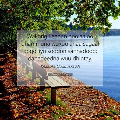 Picture 07 - Bilowgii 5:5 SOM - Wakhtigii Aadan noolaa oo dhammuna wuxuu ahaa - Bible Verse Picture