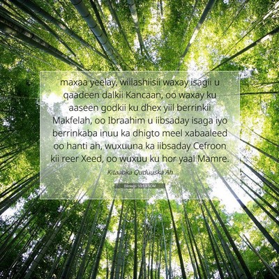 Picture 07 - Bilowgii 50:13 SOM - maxaa yeelay, wiilashiisii waxay isagii u qaadeen - Bible Verse Picture