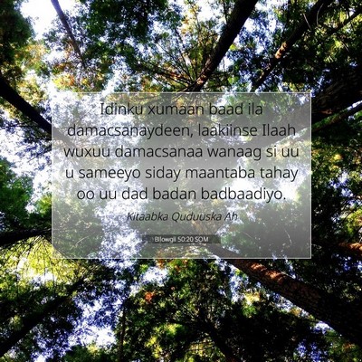 Picture 07 - Bilowgii 50:20 SOM - Idinku xumaan baad ila damacsanaydeen, laakiinse - Bible Verse Picture