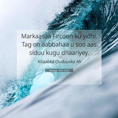 Picture 07 - Bilowgii 50:6 SOM - Markaasaa Fircoon ku yidhi, Tag oo aabbahaa u soo - Bible Verse Picture