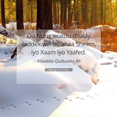 Picture 07 - Bilowgii 6:10 SOM - Oo Nuux wuxuu dhalay saddex wiil oo ahaa Sheem, - Bible Verse Picture