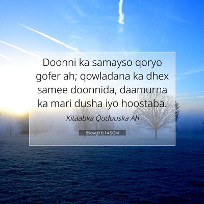 Picture 07 - Bilowgii 6:14 SOM - Doonni ka samayso qoryo gofer ah; qowladana ka - Bible Verse Picture
