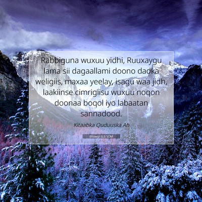 Picture 07 - Bilowgii 6:3 SOM - Rabbiguna wuxuu yidhi, Ruuxaygu lama sii - Bible Verse Picture