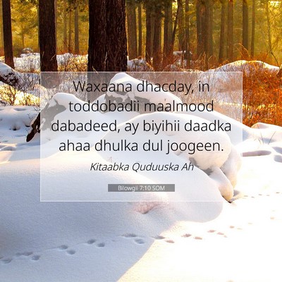 Picture 07 - Bilowgii 7:10 SOM - Waxaana dhacday, in toddobadii maalmood dabadeed, - Bible Verse Picture