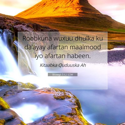 Picture 07 - Bilowgii 7:12 SOM - Roobkuna wuxuu dhulka ku da'ayay afartan maalmood - Bible Verse Picture