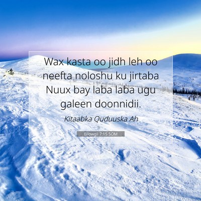 Picture 07 - Bilowgii 7:15 SOM - Wax kasta oo jidh leh oo neefta noloshu ku - Bible Verse Picture