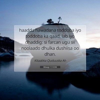 Picture 07 - Bilowgii 7:3 SOM - haadda hawadana toddoba iyo toddoba ka qaad, lab - Bible Verse Picture