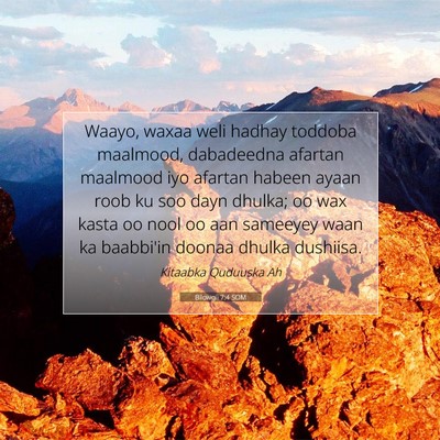 Picture 07 - Bilowgii 7:4 SOM - Waayo, waxaa weli hadhay toddoba maalmood, - Bible Verse Picture